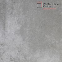 Клинкерные ступени и плитка WesterWalder WKS31110 в Тамбове